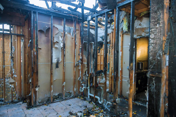 Professional Smoke Damage Removal technician working in Riverside, PA